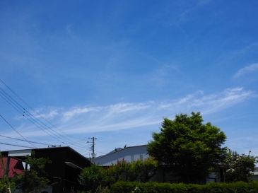 心の花 アムフローラ