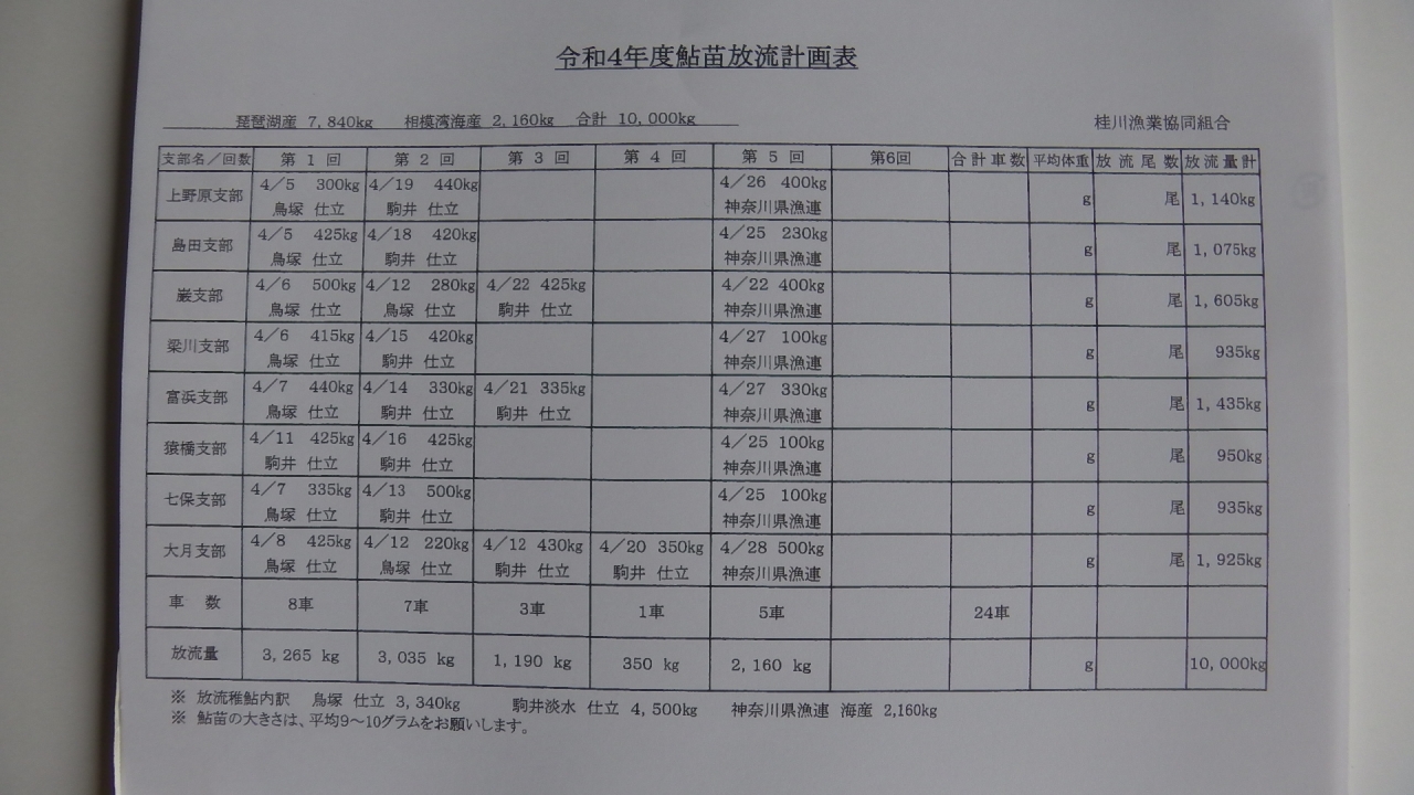 鮎釣り 桂川漁業協同組合