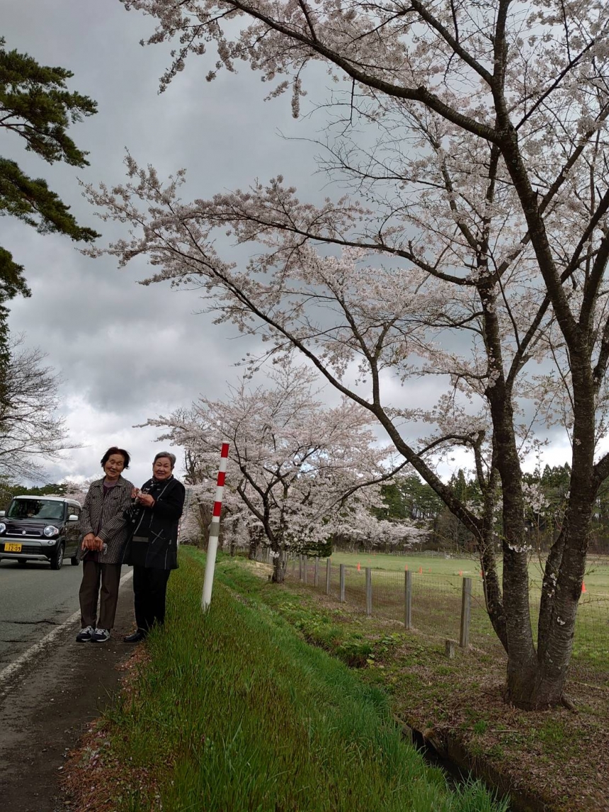 旅の便り リアス観光 株式会社