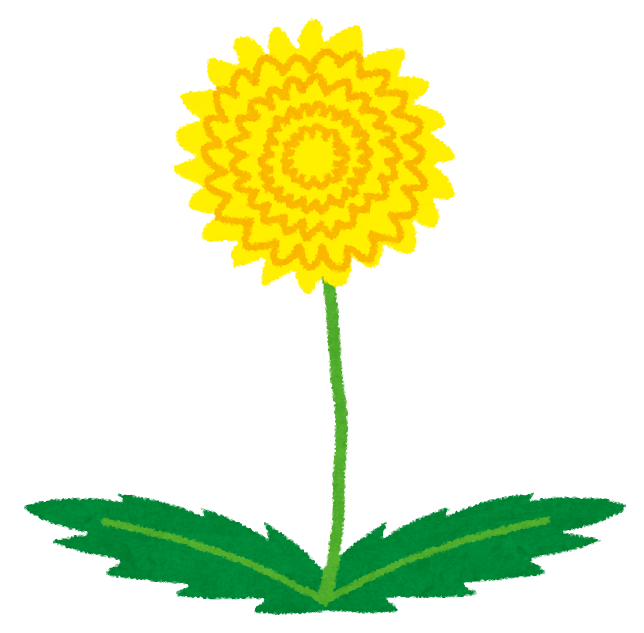 保育園の許可及び開設