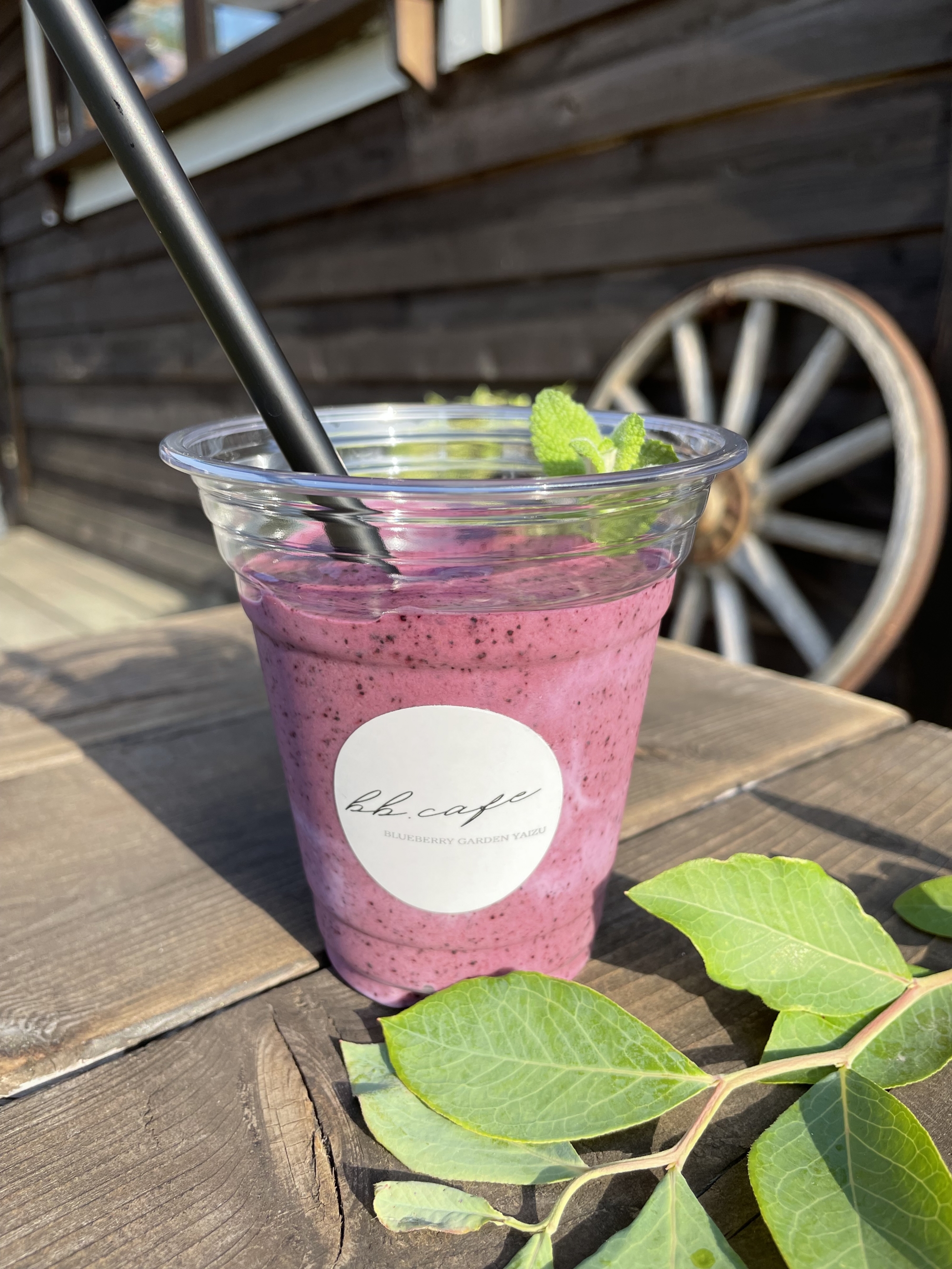 Drink | ブルーベリーガーデンやいづ