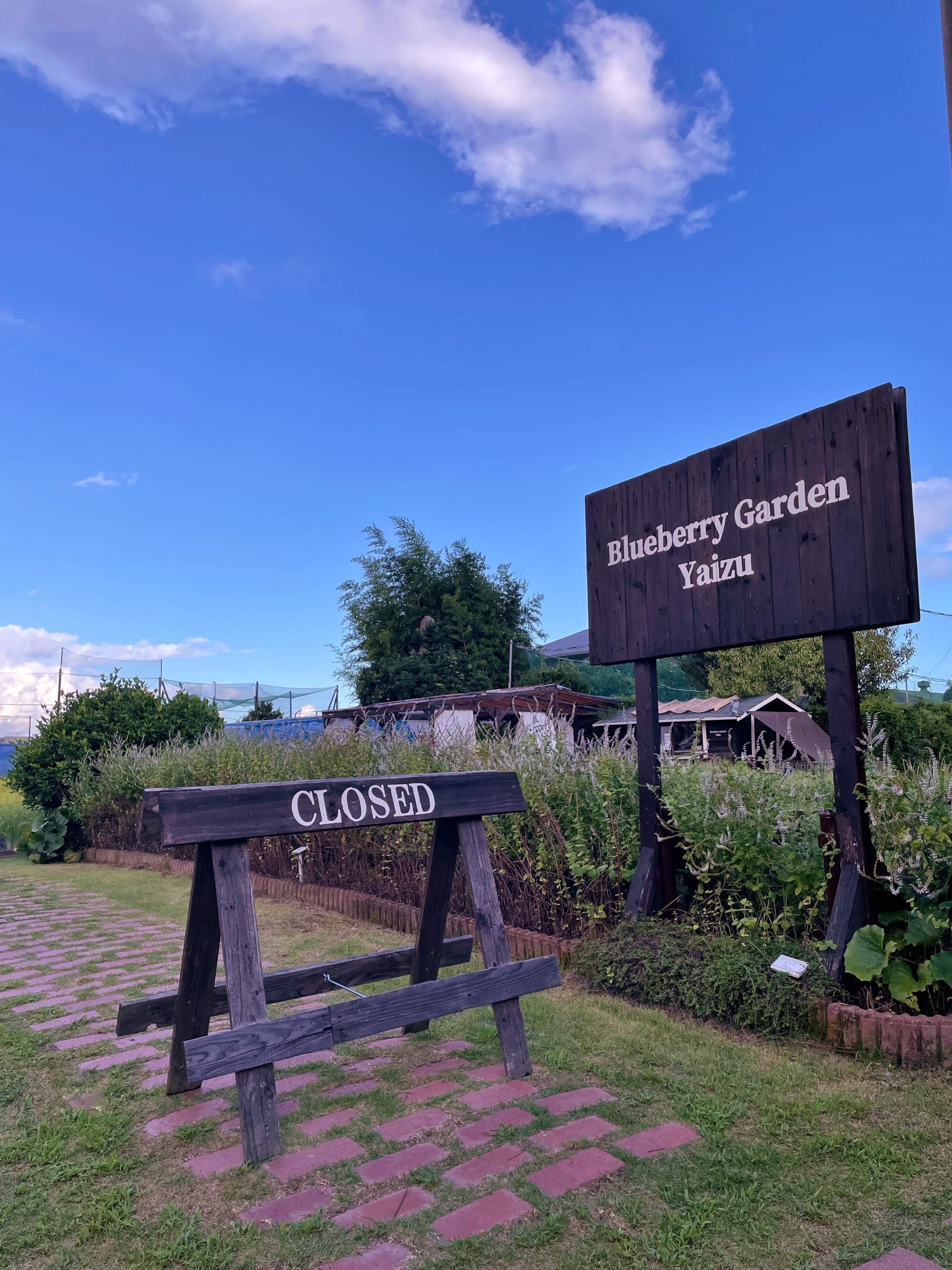 ブルーベリーガーデンやいづ