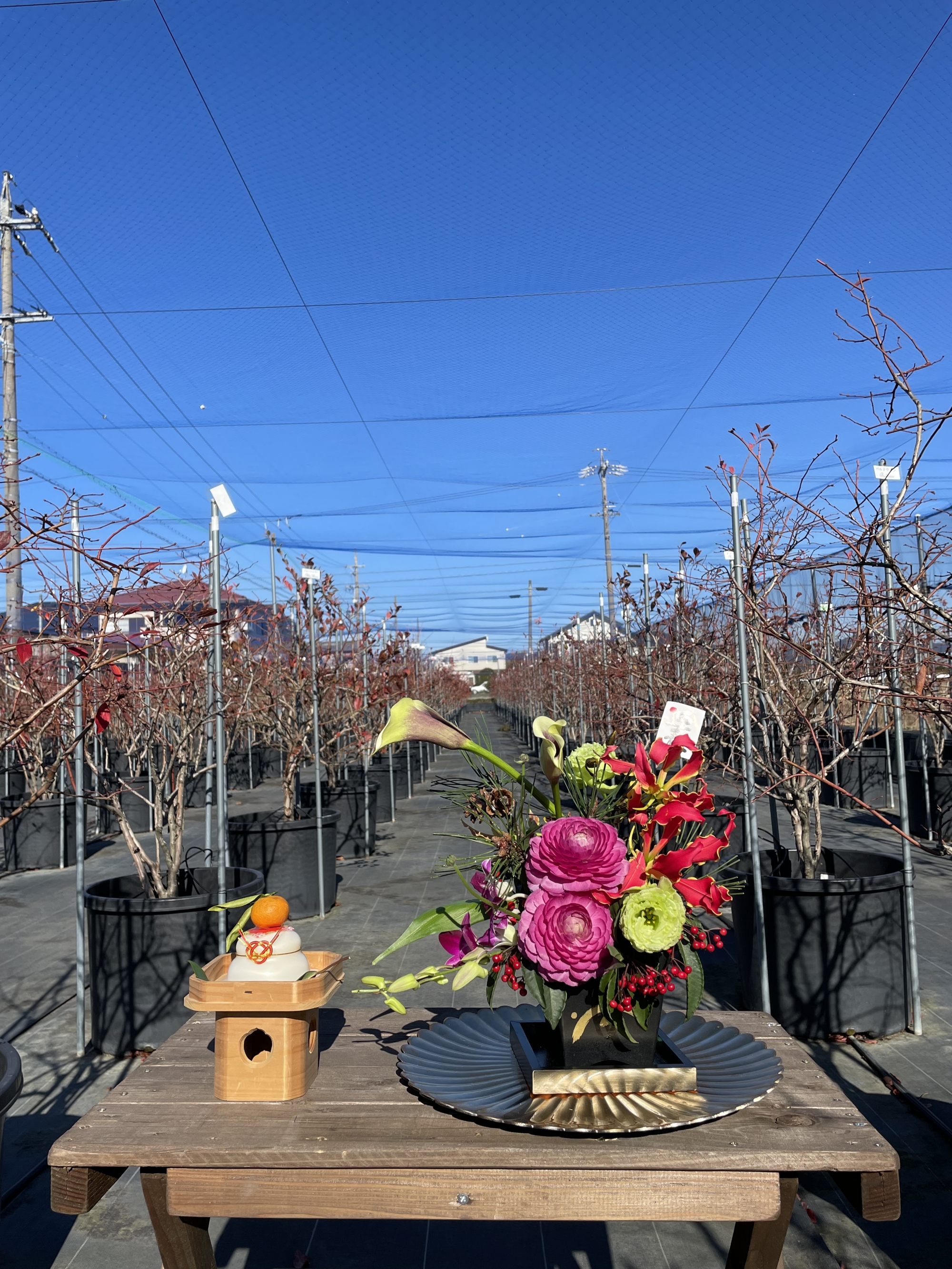 ブルーベリーガーデンやいづ