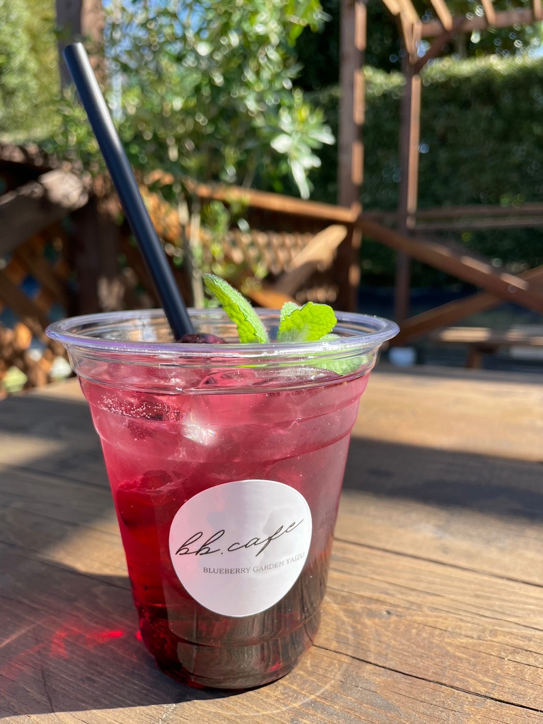 Drink | ブルーベリーガーデンやいづ