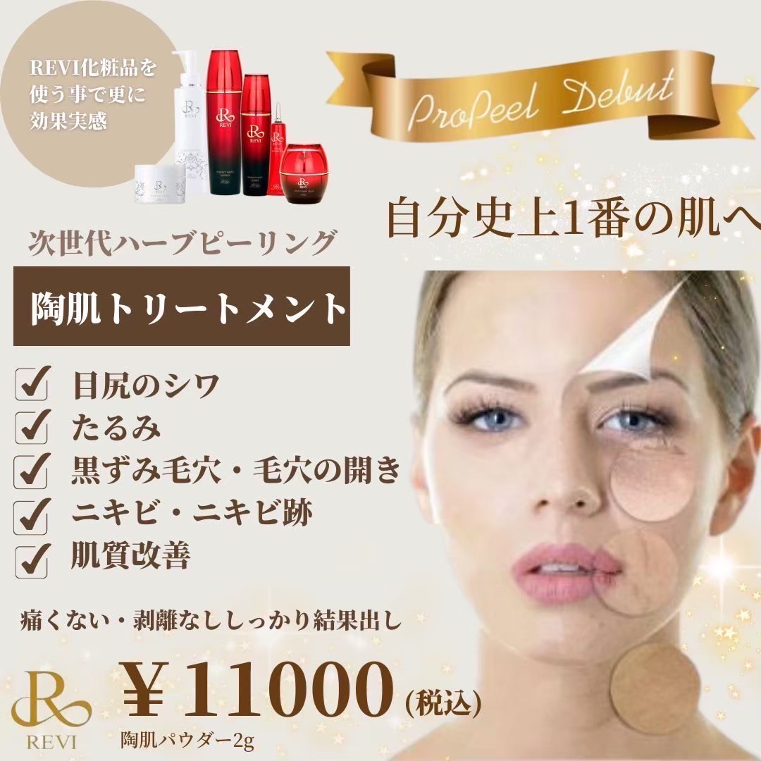 REVI陶肌トリートメント | エステサロン銀星