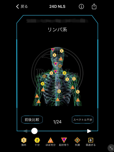 量子波動コース | 山崎整体院
