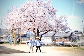 入園ご希望の方へ | 聖心幼稚園