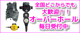 値下げ!ダイビング用品 【DACOR】BCジャケット ダイビング器材 値下げ!ダイビング用品 【DACOR】BCジャケット ダイビング器材