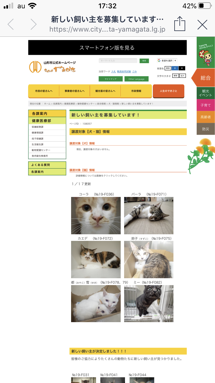 継続 犬猫の新しい飼い主募集のお知らせ ひがしね動物病院