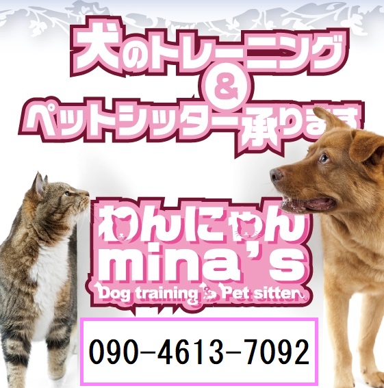 ※いぬ様専門ページ スヌーピー クールバンダナ 《サーフ柄》 中型犬 大型犬 / PET