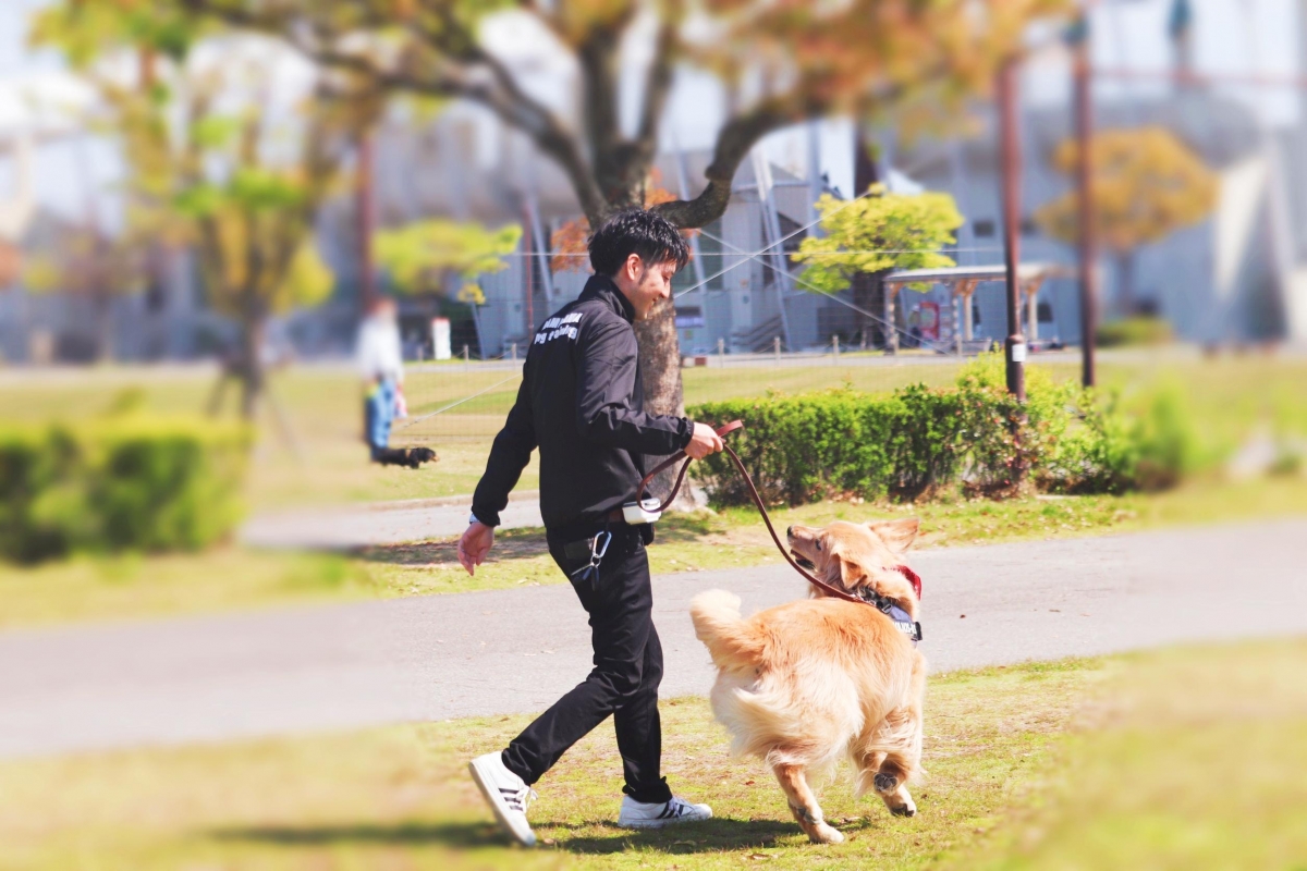 愛知県で犬のしつけ出張トレーニング専門のカミヤマドッグトレーニング