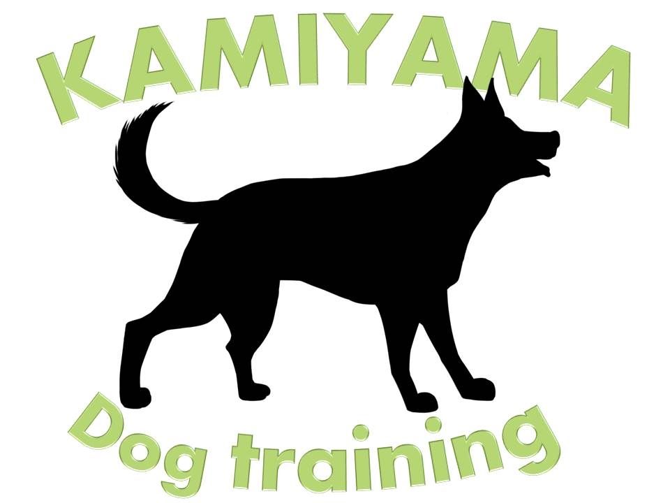 愛知県で犬のしつけ出張トレーニング専門のカミヤマドッグトレーニング