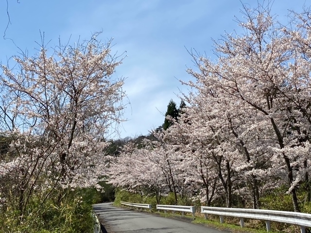 令和4年4月の風景 大屋町 島根県大田市