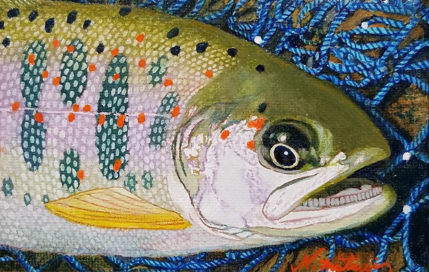 ハガキサイズ 魚の油絵原画 | 精密油絵 MATSUI