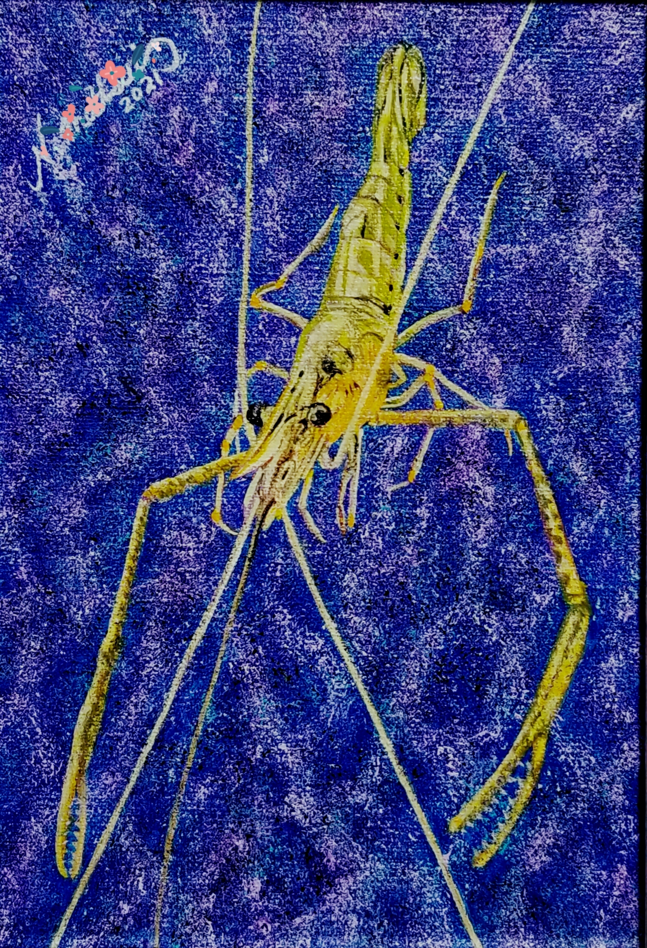 タナゴ、淡水小物の油絵原画 | 精密油絵 MATSUI