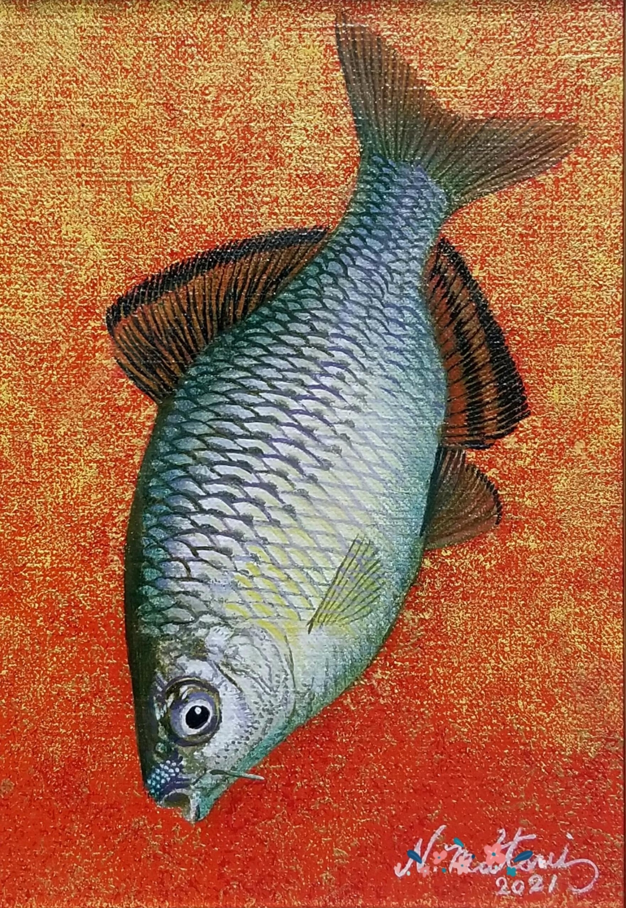 タナゴ、淡水小物の油絵原画 | 精密油絵 MATSUI