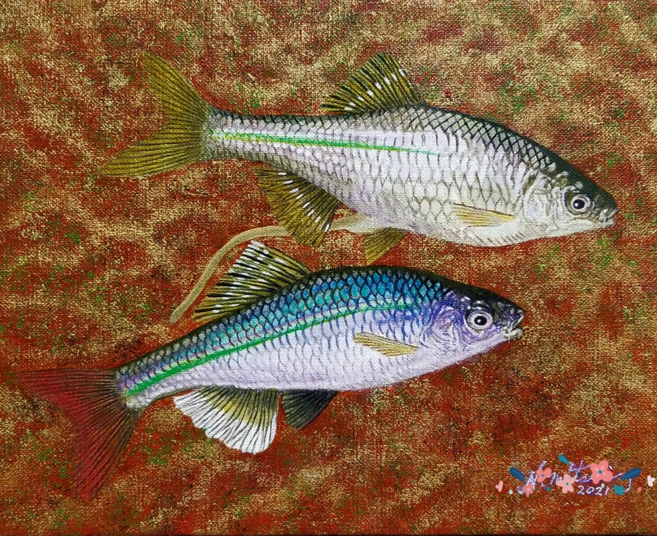 タナゴ、淡水小物の油絵原画 | 精密油絵 MATSUI